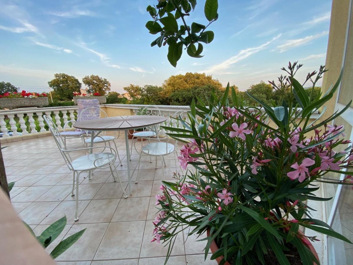 Villa Yucca Istra ラビン エクステリア 写真