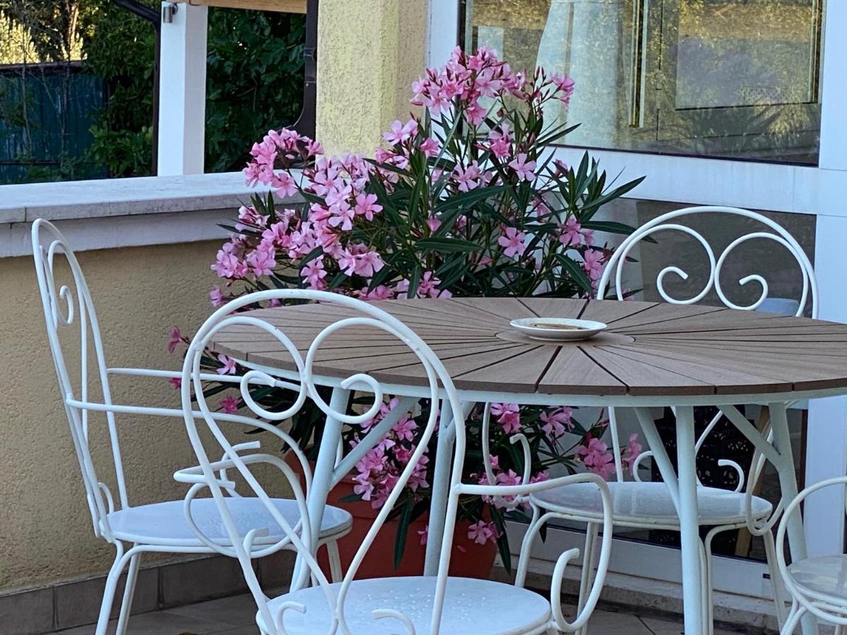 Villa Yucca Istra ラビン エクステリア 写真