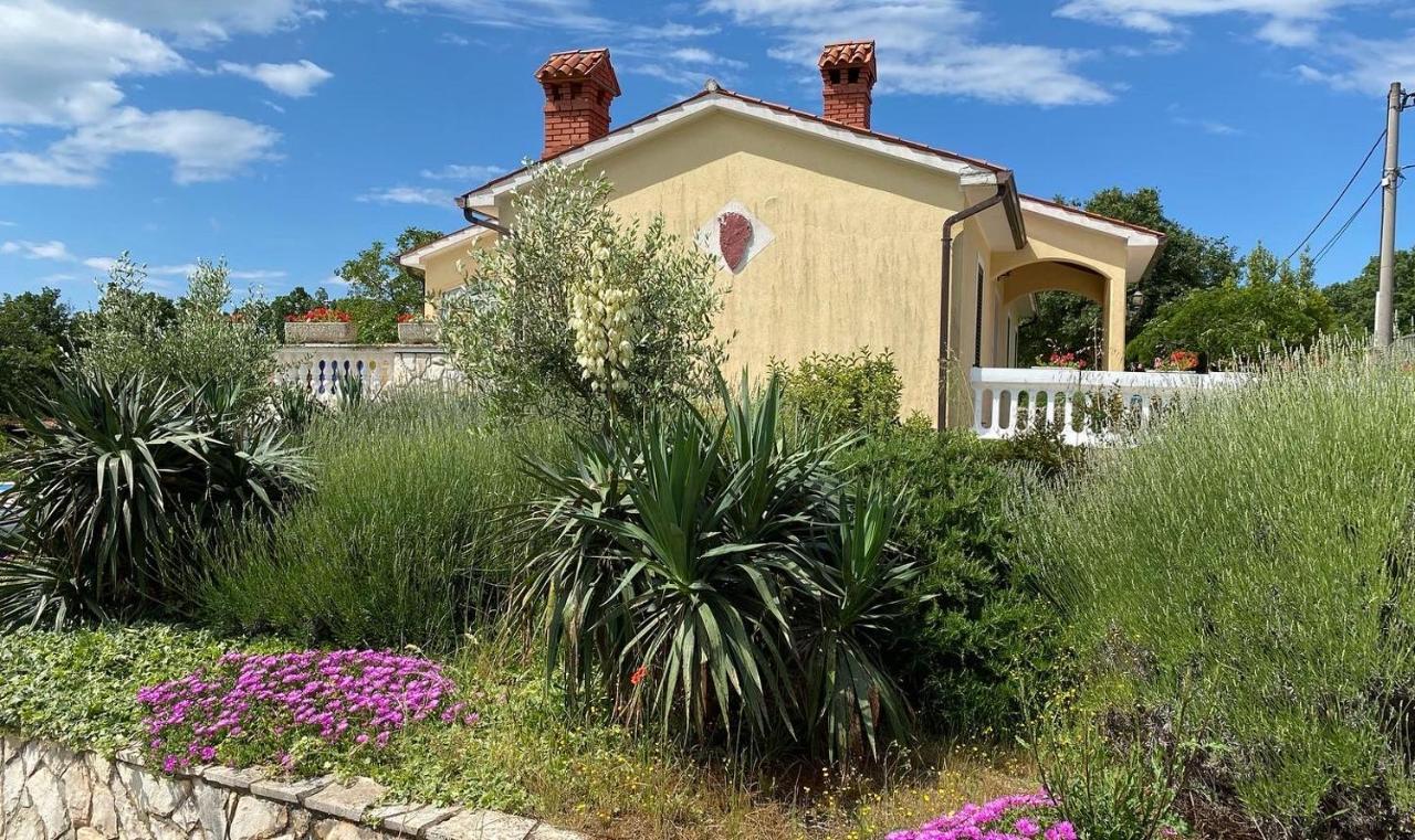 Villa Yucca Istra ラビン エクステリア 写真