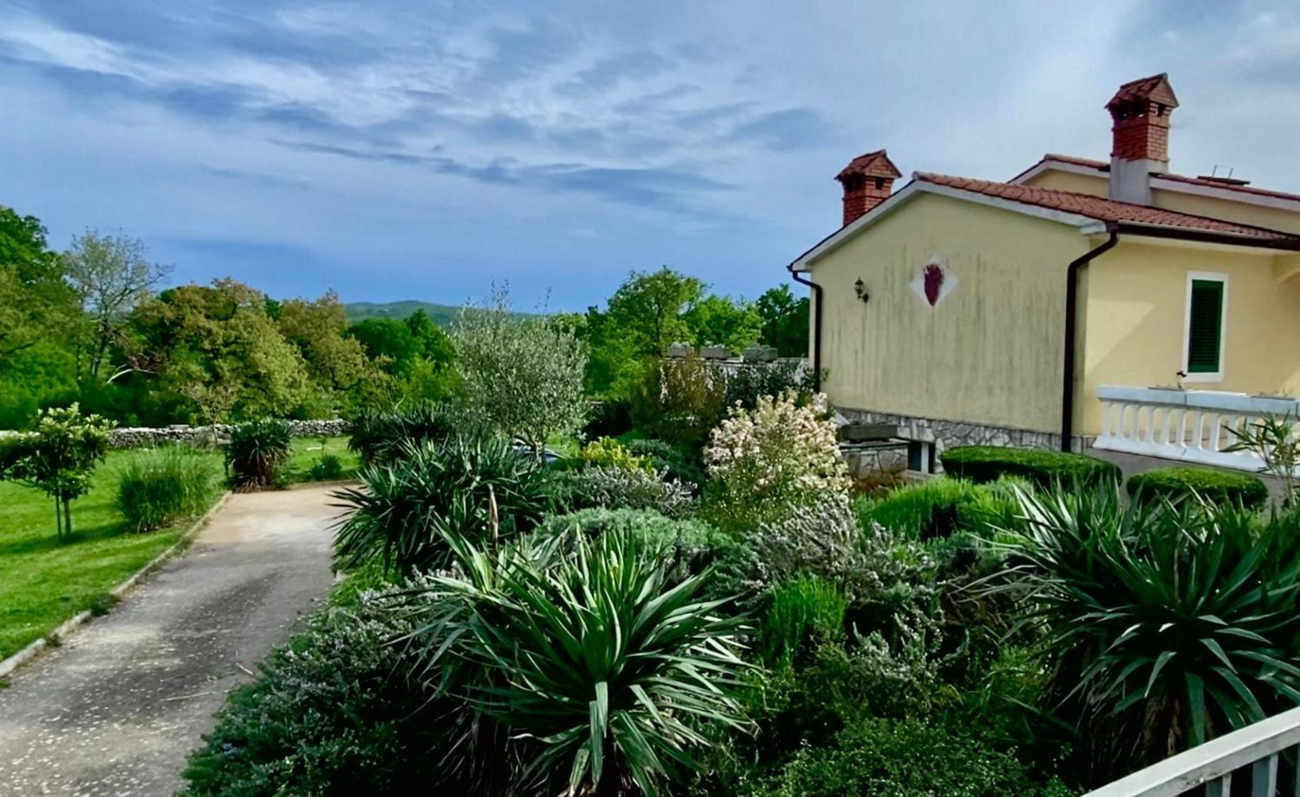 Villa Yucca Istra ラビン エクステリア 写真